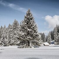 Unterwegs in der Schneeschuh-Arena Prättigau