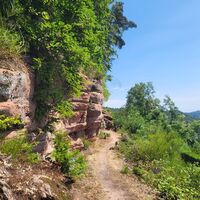 Hilschbergfelsen am Rodalber Felsenwanderweg