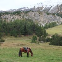 Pause auf der Alp Champatsch