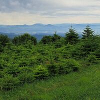 Aussicht nahe Sendeanlage 2