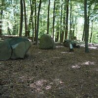 Steine des Geologischen Lehrpfads