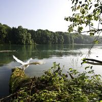 Rhein Bad Zurzach
