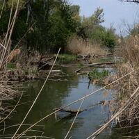 Freudenauer Hafen - Seestadt