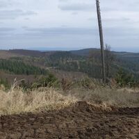 am Weg zum Friedrichsfelsen
