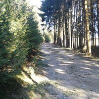 Wanderung rund um Burglemnitz