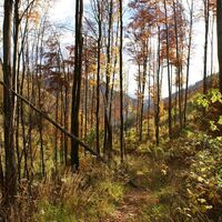 Aufstieg zur Mühlbacher Hütte