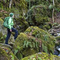 Heiligengeistklamm im Naturpark Südsteiermark