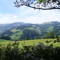 Blick zur Sommeralm_Naturpark Almenlenland_Oststeiermark