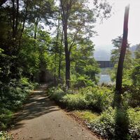 Radweg bei Dravograd