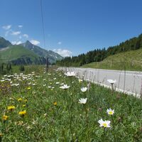 Wasserscheide - Panorama Bike Etappe 11