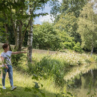 Weddelsee in Medebach