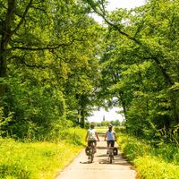 Im Wald bei Ottersheim