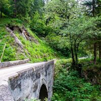 Weg zur Bayralm