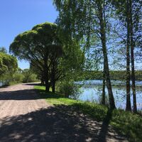 Standort 5. Erosionsreste in Mellonlahti