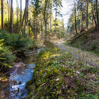 Mildersbachtalrundweg