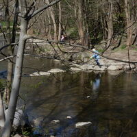 Hütteldorf - Lainzer Tiergarten - Liesing