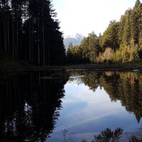 Teich bei Priesteregg