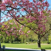 Schlosspark Meiningen