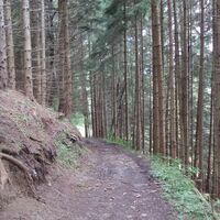 Trail zum Ratscher