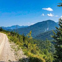 Blick nach dem Viehgatter in Richtung Predigstuhl