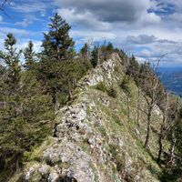 Gratweg zum Schieferstein