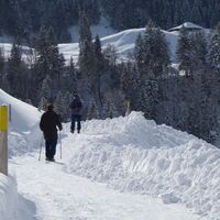 vor Staldenloch-Winterwanderung Seerundgang Schwarzsee