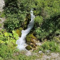 39.5 km Zufluss in die Schwarze Walster