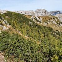 Der Trail wird kurz ruppiger