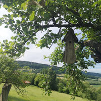 Bergheimer Eselsrunde