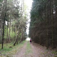 Von Dreba zum Plothener Hausteich