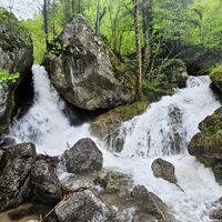 0.3 km Hauptfälle
