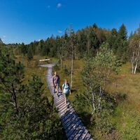 Moorlehrpfad Bad Bayersoien