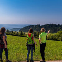 Schöne Aussichten auf das Rheintal und die Schweiz