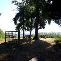 Pfalzblick