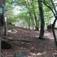 Zustieg zur Hirschwand