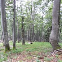 am Weg zum Rauhen Kamm