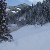 nach Schwarzseebad-Winterwanderung Seerundgang Schwarzsee