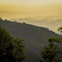 Wanderweg beim Tafelweg, Blick nach Westen Richtung Hörnleberg mit Hörnlebergkapelle, ganz im Hintergrund die Vogesen