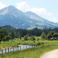 Kalbelehof Alpe