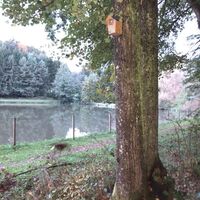 Rastbühel Runde