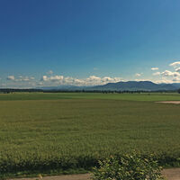 Blick über die Felder im Rheintal und den Schwarzwald