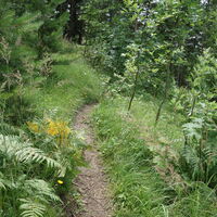 am Aufstiegssteig