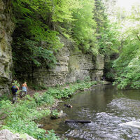 In der Wutachschlucht