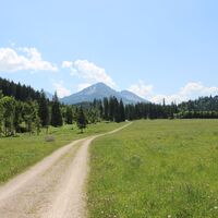 Wandern und Mountainbiken bei der Kalbelehof Alpe