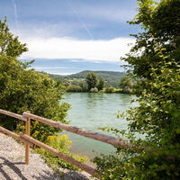 Rhein_Rheinschwimmen_Bad Zurzach 1