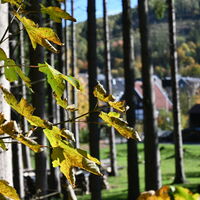 Ostwig - Ausblick auf den Ort