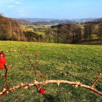 Blick nach Berge