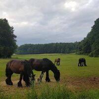 Jurahöhe südöstliche Fränkische Schweiz