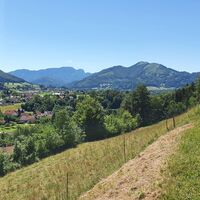 Molln mit dem Rammelspitz