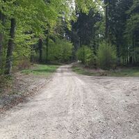 geradeaus weiter
